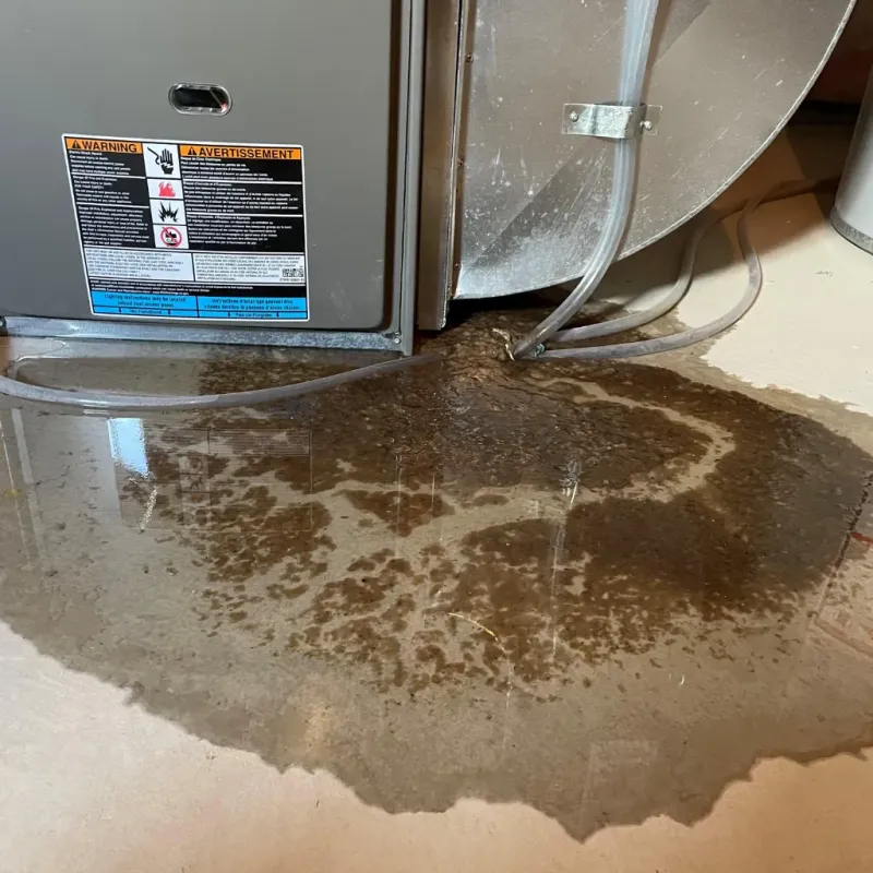 Appliance Leak Cleanup in Harlan, KY